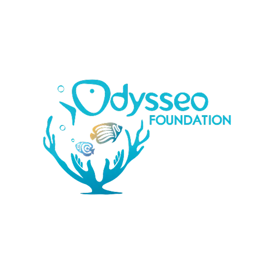 Odysseo Foundation Logo