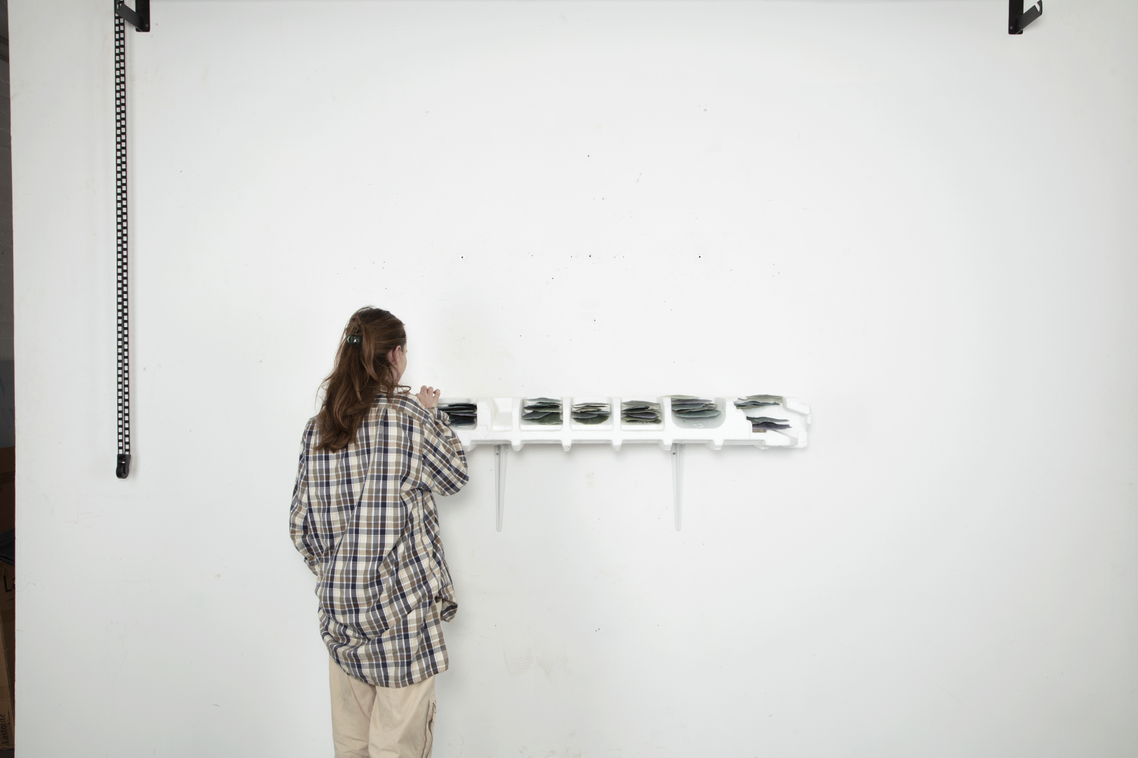 Organize the dupes_additional_image_1