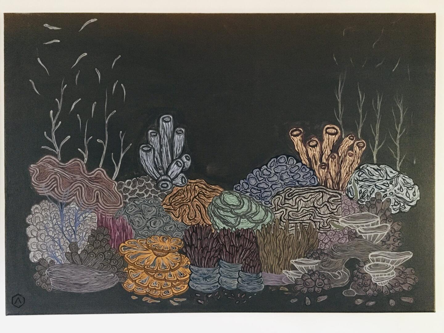 Beauty and Bleaching of our Coral Ecosystem_additional_image_2